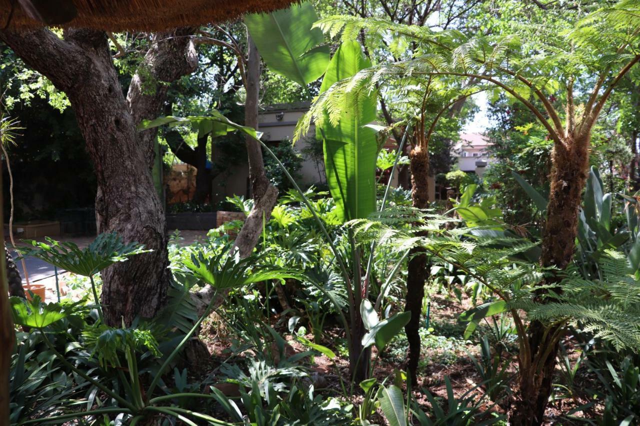 Greenwoods Self-Catering Pretoria-Noord Zewnętrze zdjęcie
